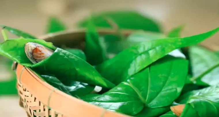 తమలపాకులతో శరీరానికి ఎంతో మేలు
