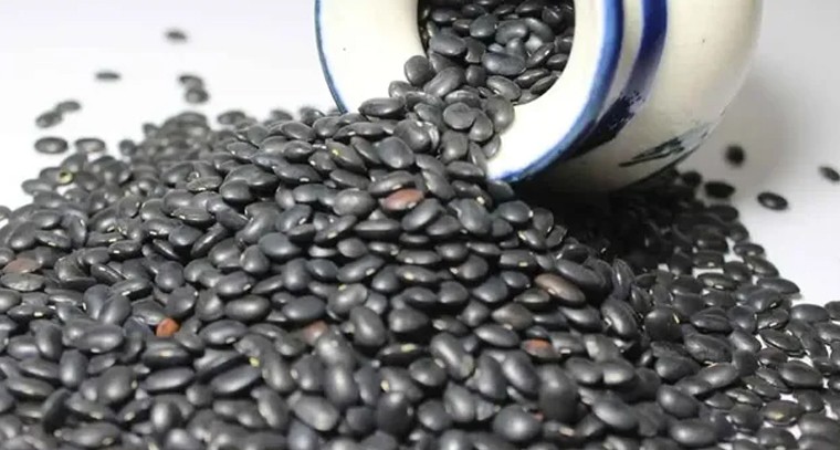 ఉలవలు తింటే బోలెడు ప్రయోజనాలు
