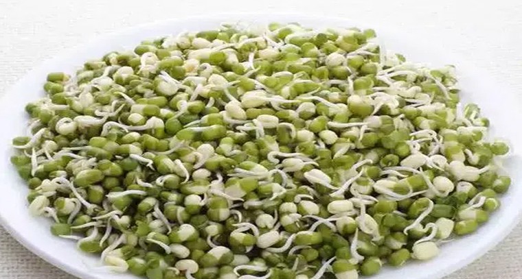 పెసర మొలకలతో ఆరోగ్య ప్రయోజనాలు
