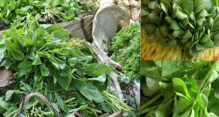 చలికాలంలో ఈ ఆకుకూరలు తినండి.. బరువు తగ్గుతారు!
