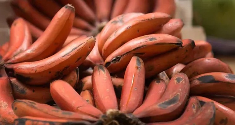 చలికాలంలో అరటిపండు తింటే మంచిదేనా.?
