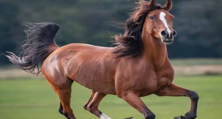 చలికాలం ఈ డ్రింక్స్ తో ఇమ్యూనిటీ పెంచుకోండి
