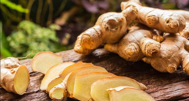 అల్లం తో కలిగే ఆరోగ్య ప్రయోజనాలు