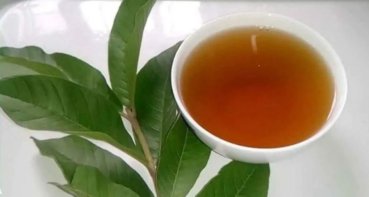 జామ ఆకు టీ వల్ల కలిగే ప్రయోజనాలు!