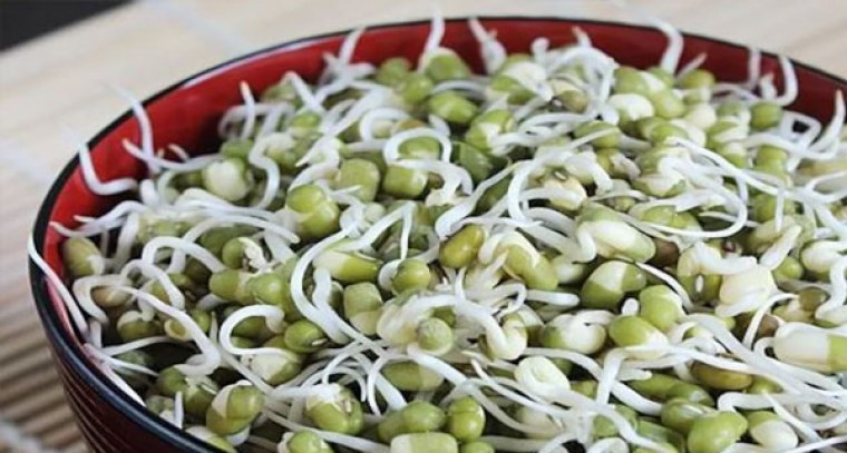 పెసర మొలకలతో కలిగే ఆరోగ్య ప్రయోజనాలు
