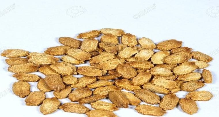 ఈ గింజలతో ఆరోగ్య ప్రయోజనాలెన్నో!
