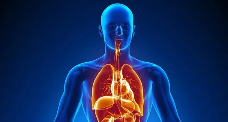 మాన‌వ శ‌రీరం.. ఈ విషయాలు తెలుసా?
