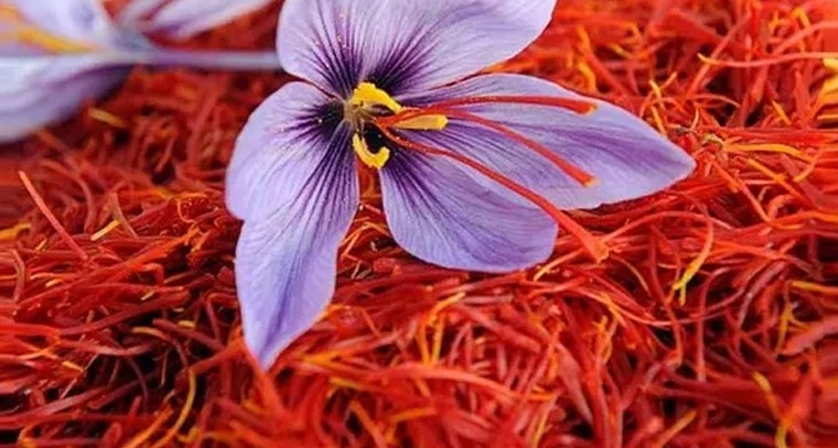 కుంకుమ పువ్వుతో కలిగే ప్రయోజనాలు తెలుసా
