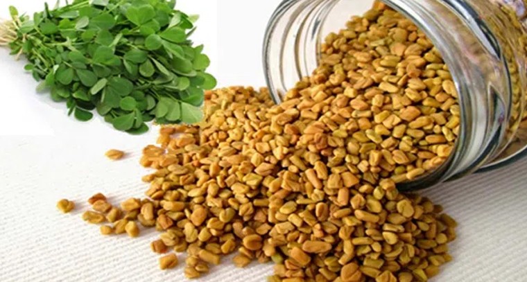 మెంతులతో ప్రయోజనాలు బోలెడు
