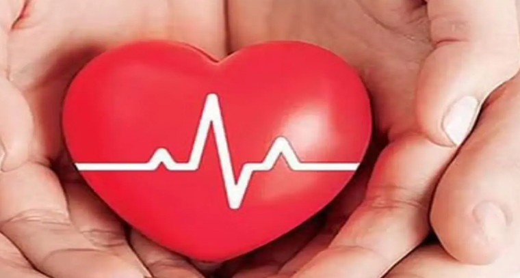 ఈ ఆహారంతో గుండెకు ఆరోగ్యం
