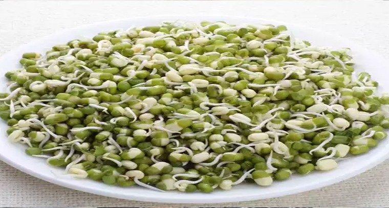 పెసర మొలకలతో ఆరోగ్య ప్రయోజనాలు
