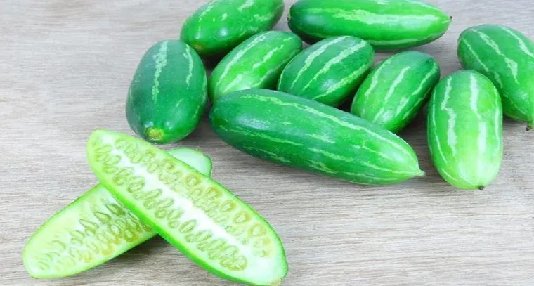 దొండకాయతో ఆరోగ్య ప్రయోజనాలు
