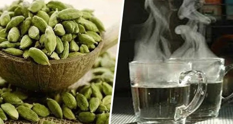 ఏలకుల నీటిని ఉదయాన్నే తాగడం వల్ల కలిగే ప్రయోజనాలు