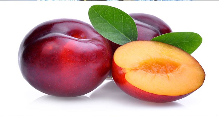 ఆల్‌బుఖరా పండ్లతో ఇమ్యూనిటీ
