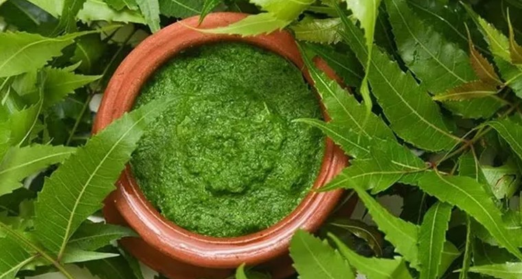 వేపాకుతో ఈ సమస్యలన్ని దూరం