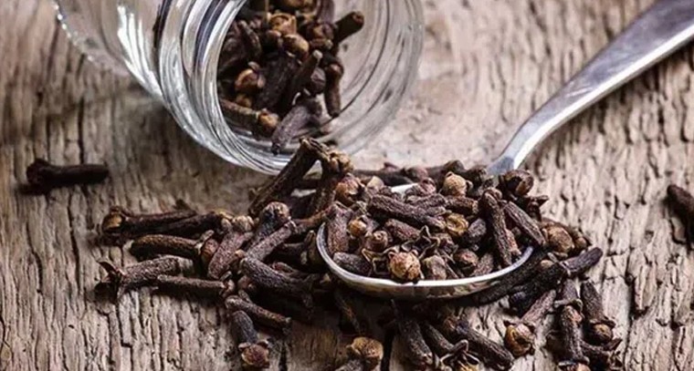 క్యాన్సర్‌కు దివ్యమైన ఔషధం
