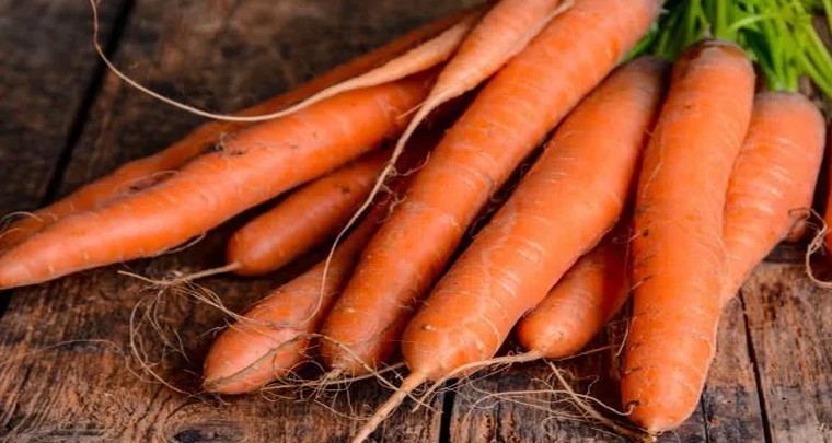 క్యారెట్ తింటే కలిగే ఆరోగ్య ప్రయోజనాలు 
