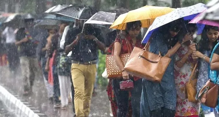 వీటి వల్ల అనేక రకాల నొప్పులకు వీటితో చెక్ 