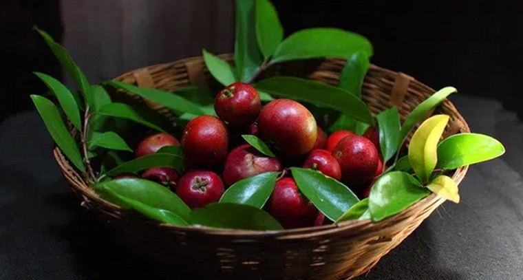 కోకుమ్ పండు గురించి తెలుసా.?
