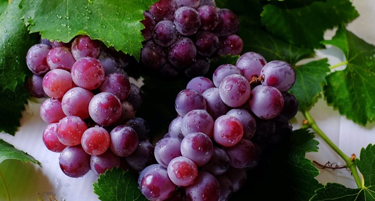 ద్రాక్ష పండ్లను ఎక్కువగా తింటున్నారా?