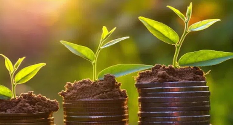 ఆదాయం పెరగాలంటే వాస్తు చిట్కాలు
