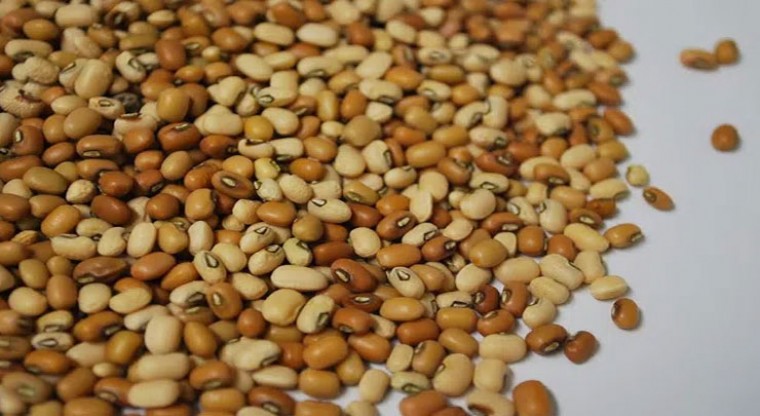 అధిక బరువుకు వీటితో చెక్‌!
