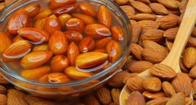 గర్భిణులు బాదం తినవచ్చా..?
