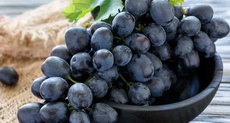 నల్ల ద్రాక్షతో ఆరోగ్య ప్రయోజనాలు
