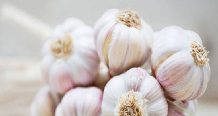 వెల్లుల్లితో ఎన్నో ప్రయోజనాలు
