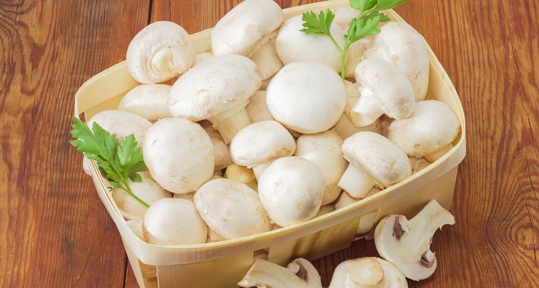 పుట్టగొడుగులతో కలిగే ఆరోగ్య ప్రయోజనాలు 