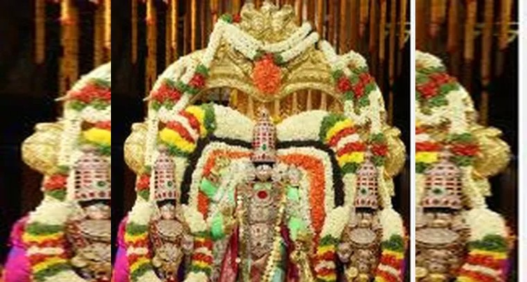 భక్తిశ్రద్ధలతో శ్రీవారి రథోత్సవం
