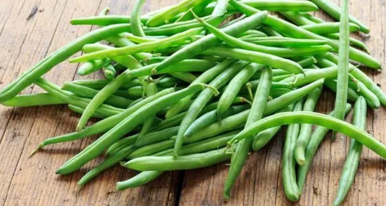 చల్లని వాతావరణానికి అనుకూలమైన పంటలివే
