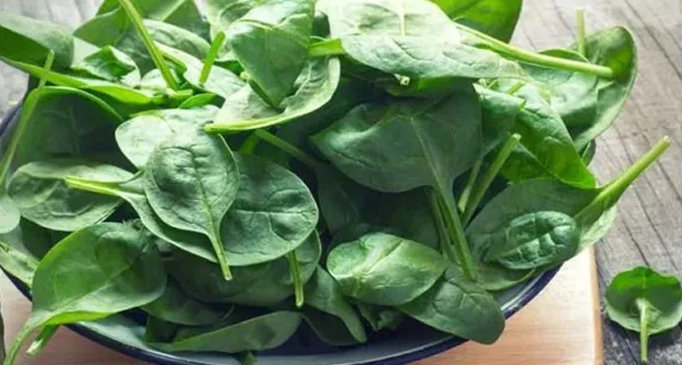 పాలకూరతో అనేక ఆరోగ్య ప్రయోజనాలు
