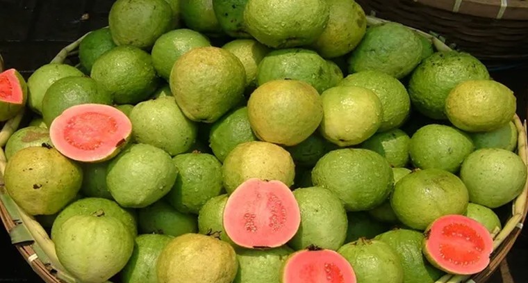 జామపండ్లతో ఎన్నో ప్రయోజనాలు..!
