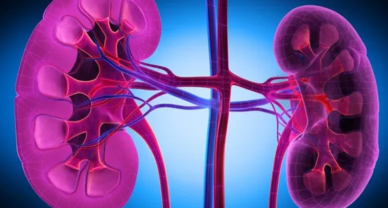 అంజీరా తింటే కలిగే ప్రయోజనాలివే
