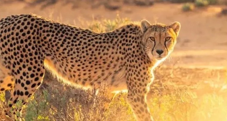 హై బీపీని నియంత్రించే ఆహారమిదే
