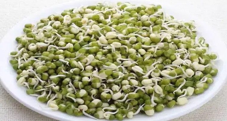 పెసర మొలకలతో ఆరోగ్య ప్రయోజనాలు
