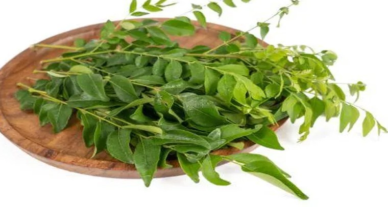 క‌రివేపాకుతో ప్ర‌యోజ‌నాలెన్నో తెలుసా?
