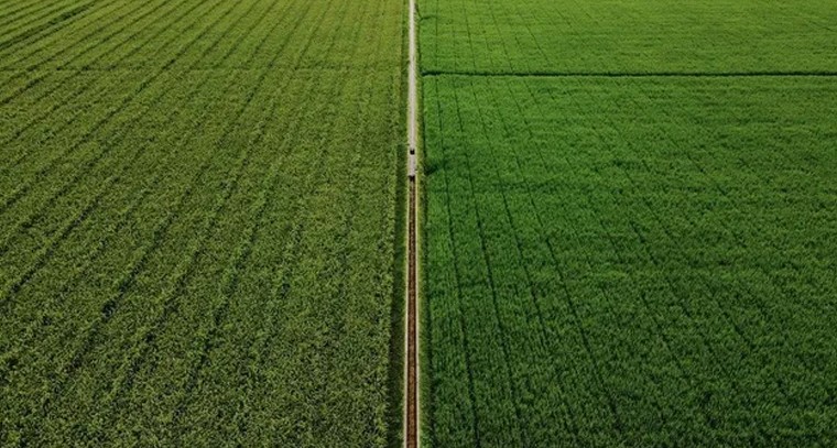 ఒంటినొప్పులు పోగొట్టుకోండిలా
