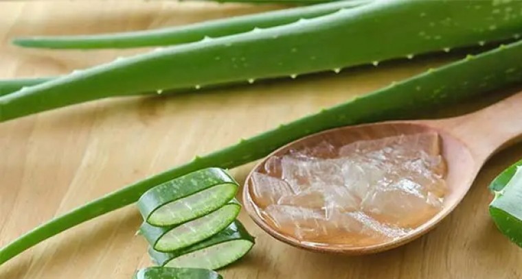 కలబందతో ఆ సమస్యలకు చెక్ పెట్టండి
