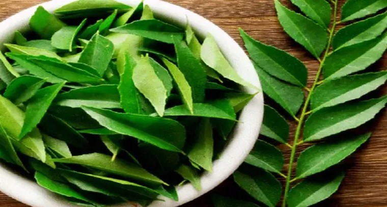 కరివేపాకు ఆకుతో కలిగే ప్రయోజనాలు ఇవే