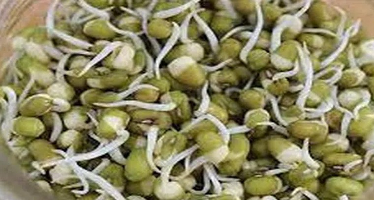 ఉదయాన్నే ఇవి తింటే మంచిది
