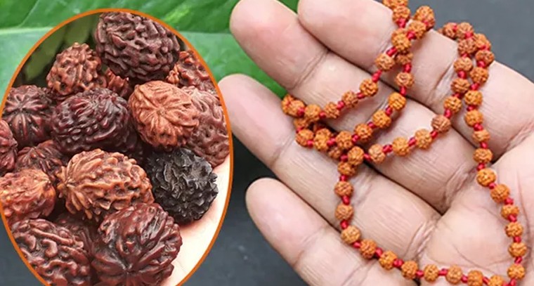 రుద్రాక్షతో ప్రయోజనాలు ఉన్నాయా?