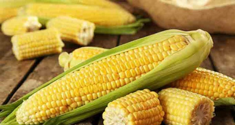 మొక్కజొన్నతో అనేక ఆరోగ్య ప్రయోజనాలు
