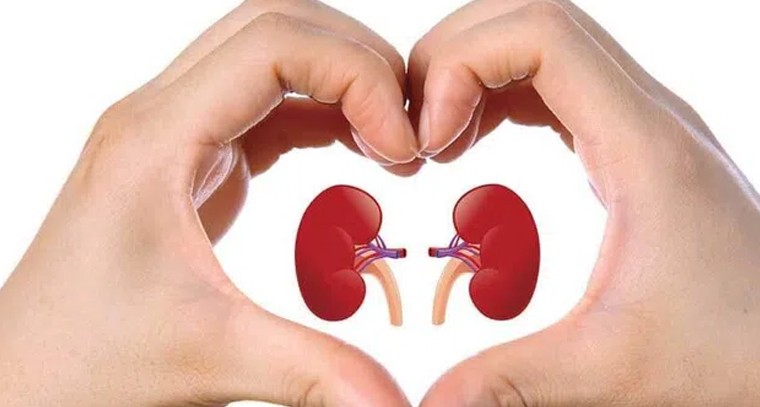 ఈ టిప్స్ పాటించి కిడ్నీలు శుభ్రం చేసుకోండి
