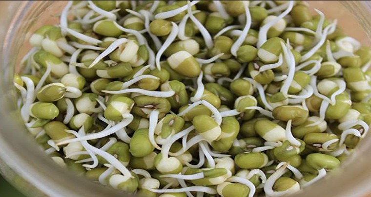 ఉదయాన్నే ఇవి తింటే మంచిది
