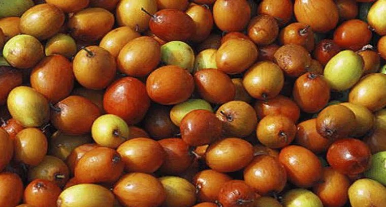 నిద్ర రావడం లేదా.. ఈ పండు తినండి
