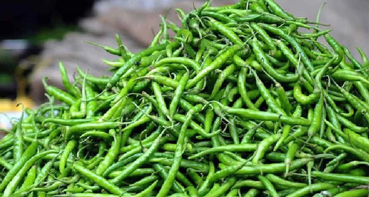 పచ్చి మిర్చి వల్ల కలిగే ప్రయోజనాలు
