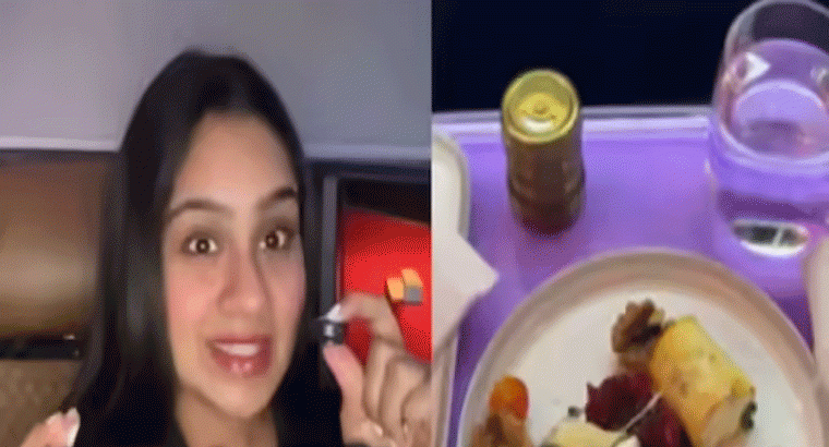 ఎయిరిండియా బిజినెస్ క్లాస్‌లో.. నాసిరకం భోజనం, సీటుపై ఈగలు, వీడియో వైరల్