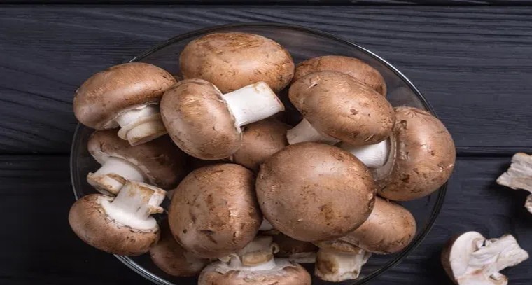 తరచూ పుట్టగొడుగులు తింటే లాభాలివే
